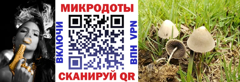 Галлюциногенные грибы прущие грибы  цена наркотик  Белинский 